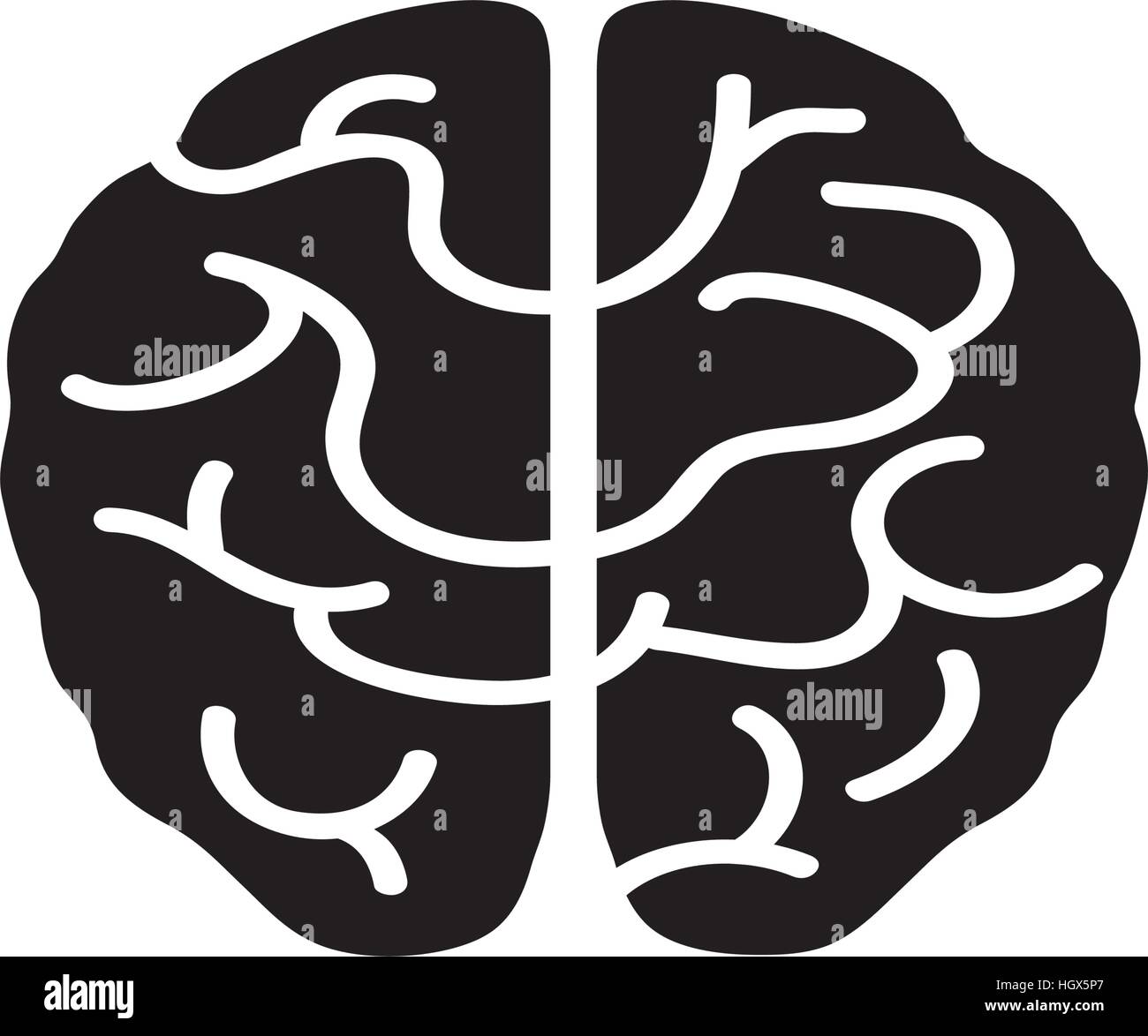 Isolated human brain Stock Vector Image & Art - Alamy