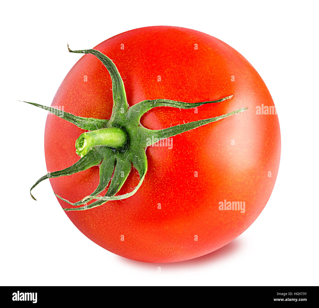 Tomato isolated on white background Stock Photo - Alamy