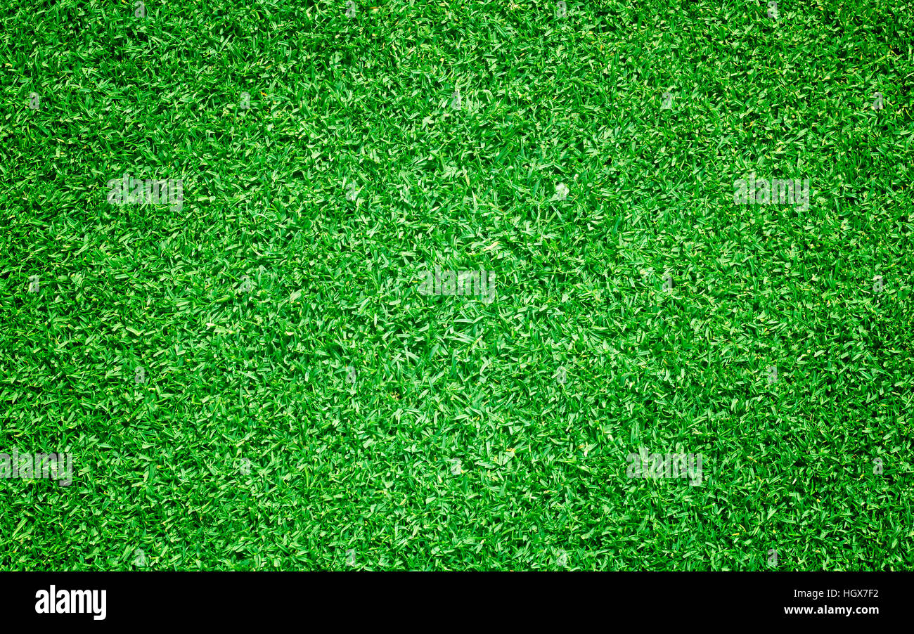Green grass background turf grass surface abstract Stock Photo - Alamy