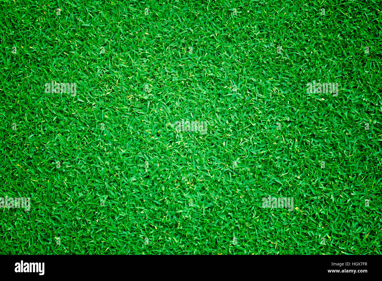 Green grass background turf grass surface abstract Stock Photo - Alamy