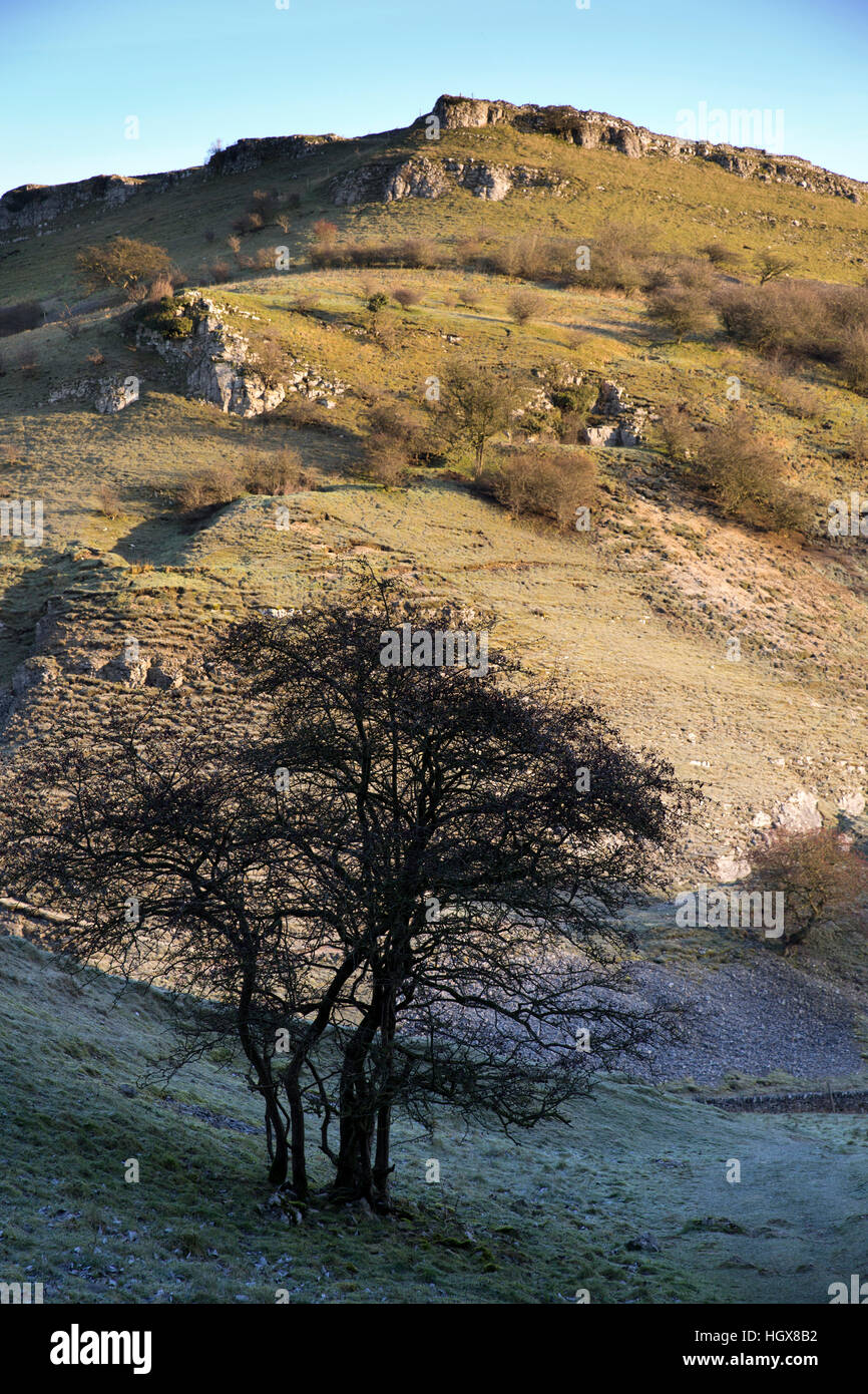 UK, England, Derbyshire, Litton Tansley Dale in winter, sunlight on Cressbrook Dale hillside Stock Photo