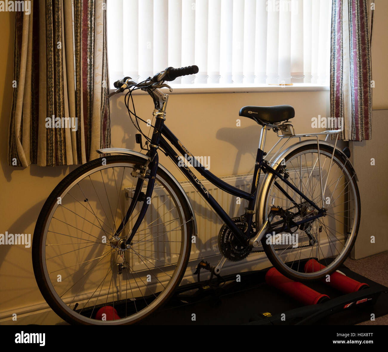 Ladies bike 2025 costco