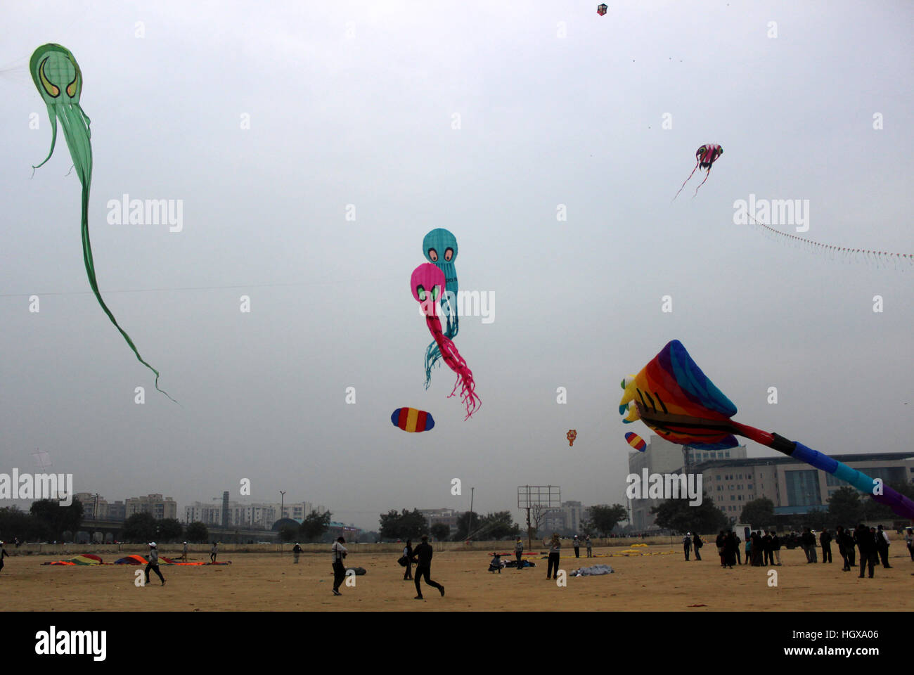Delhi, India. 14th Jan, 2017. Indian with foreign people flying kites
