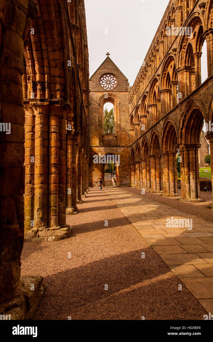 Abbey, Jedburgh, Scotland, UK Stock Photo