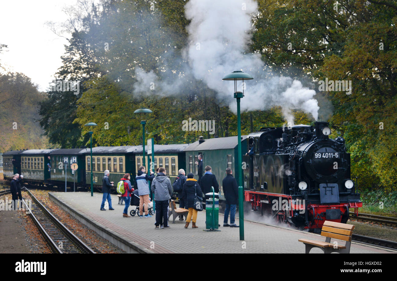 Rasender Roland, Bahnhof, Binz, Ruegen, Mecklenburg-Vorpommern ...