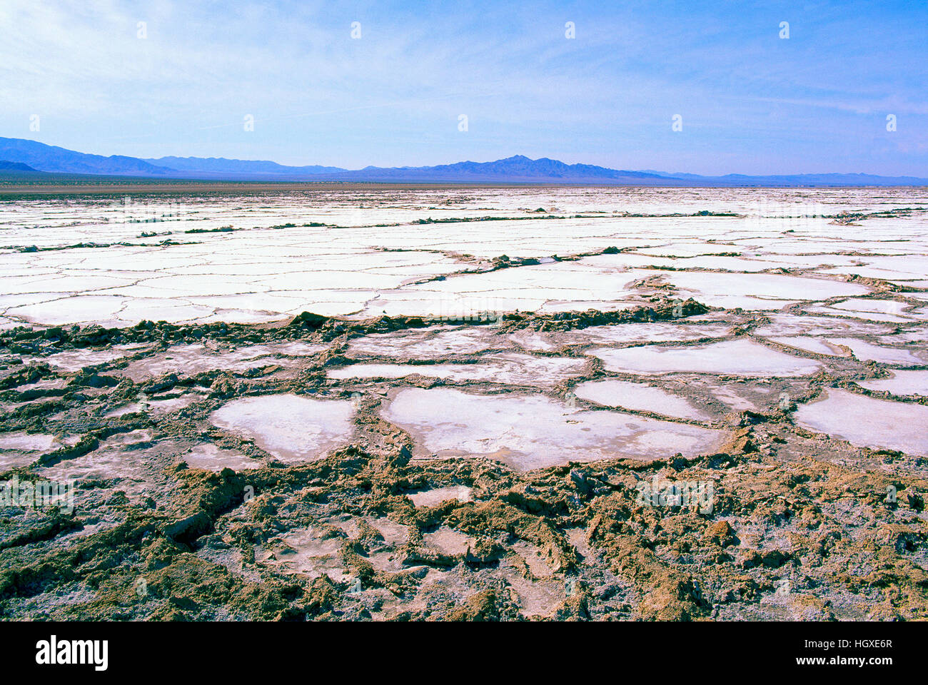 Bristol Dry Lake Bed in Mojave Desert near Amboy, California, USA - Salt Flats after a Heavy Rainfall Stock Photo