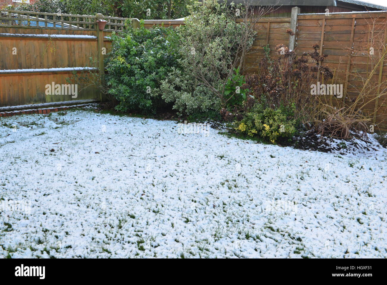 A snow covered garden in the UK in January2017 Stock Photo