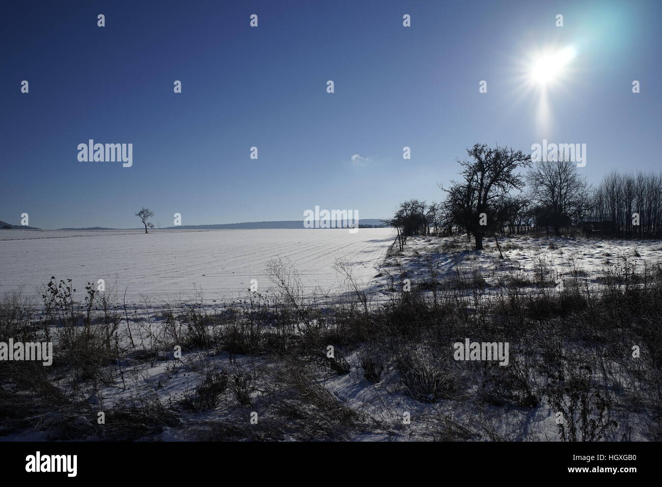 Snowy landscape in winter with blue sky Stock Photo