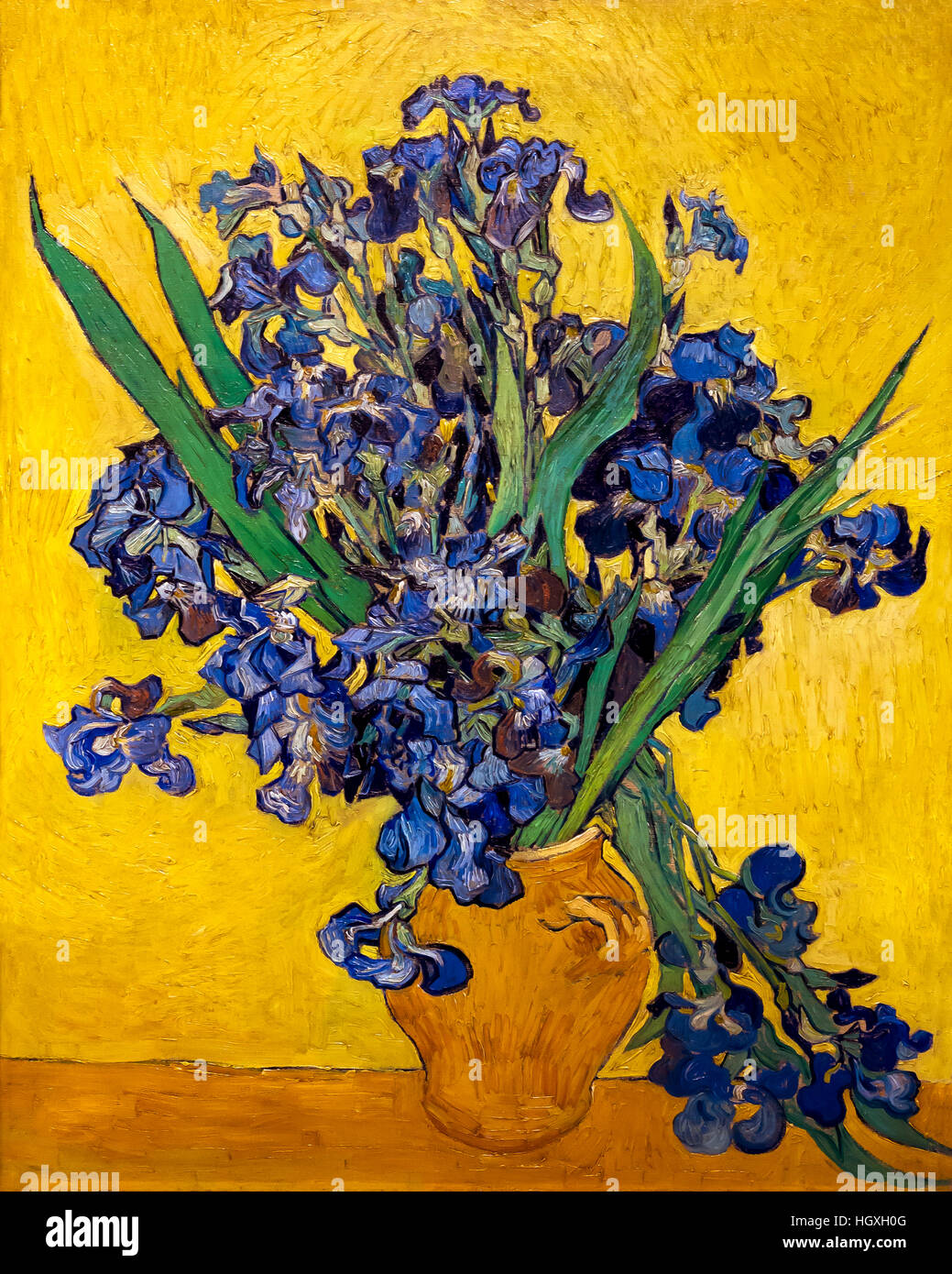 Irises, by Vincent van Gogh, 1890, oil on canvas, Netherlands, Europe