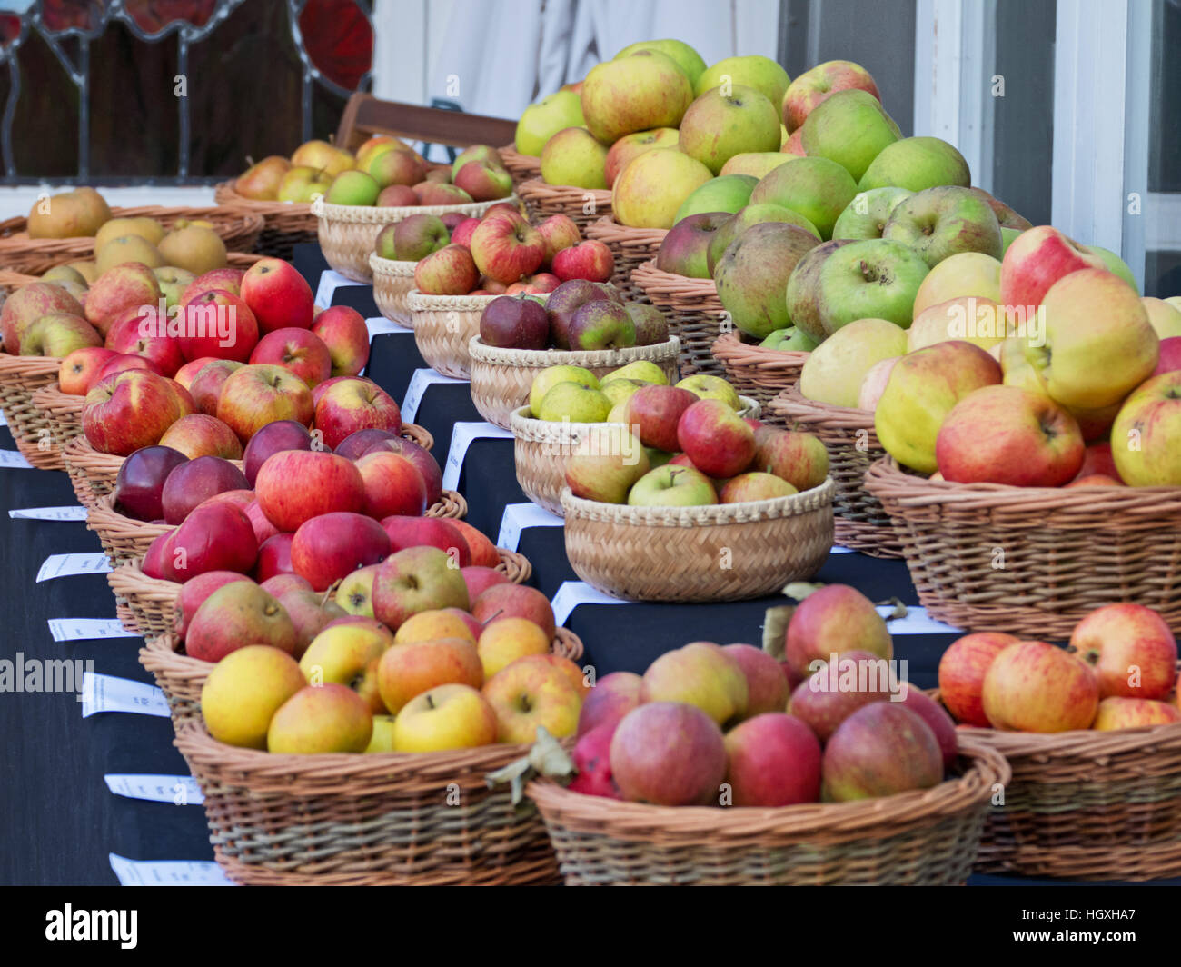Varieties of eating and cooking apples displayed at an English autumn fair Stock Photo