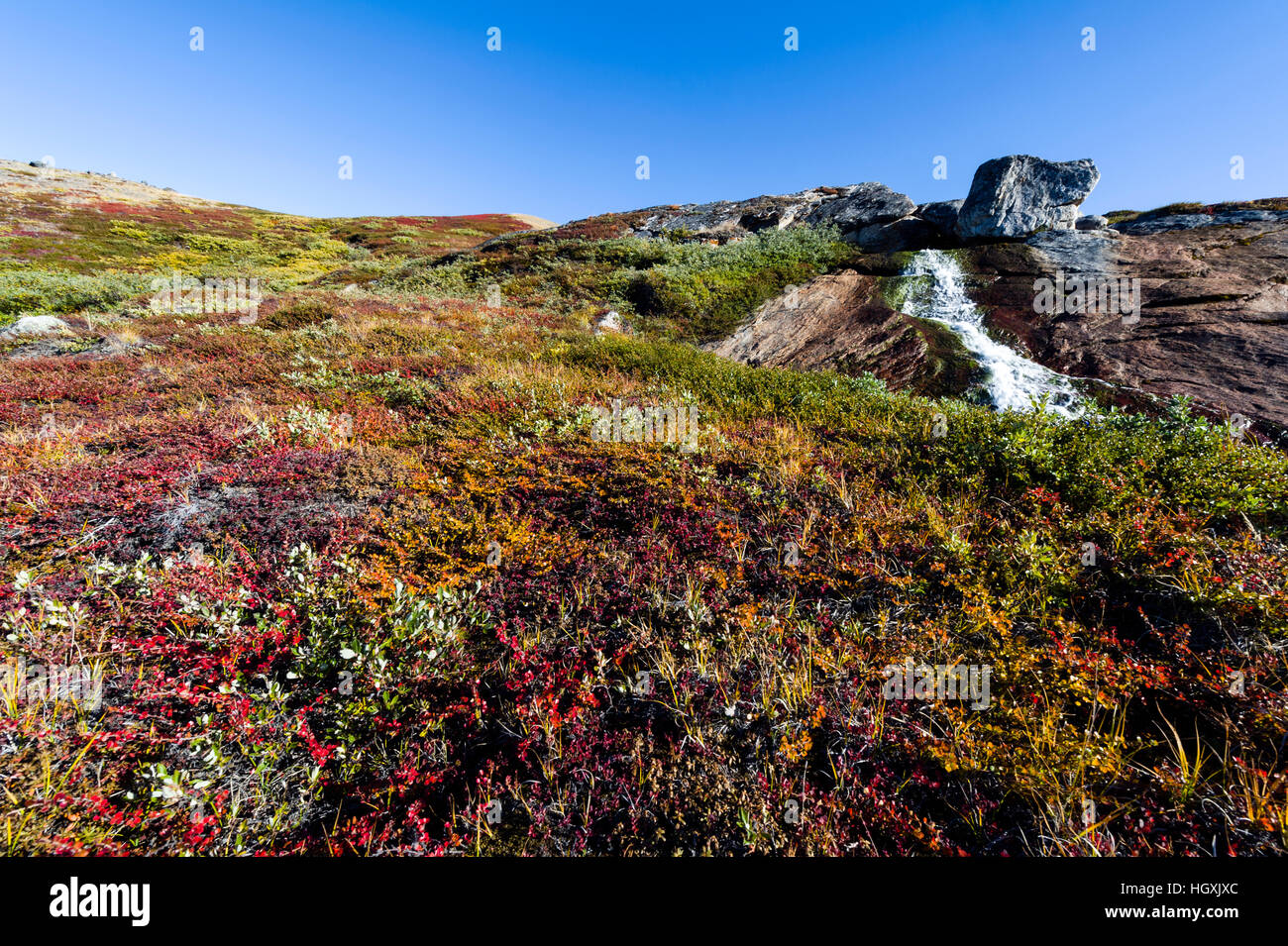 Cascades on rocky stream hi-res stock photography and images - Alamy