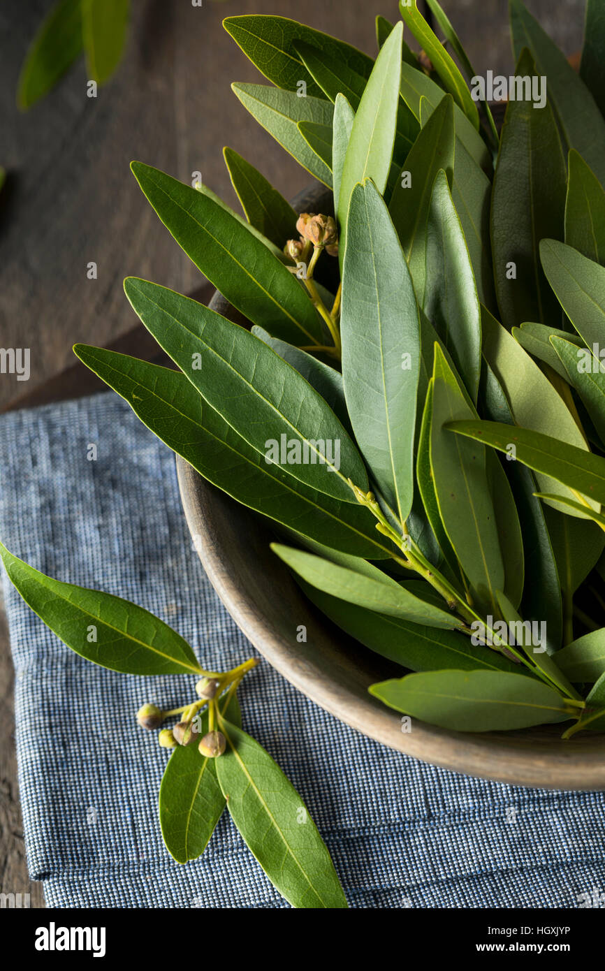 Whole bay leaves hires stock photography and images Alamy