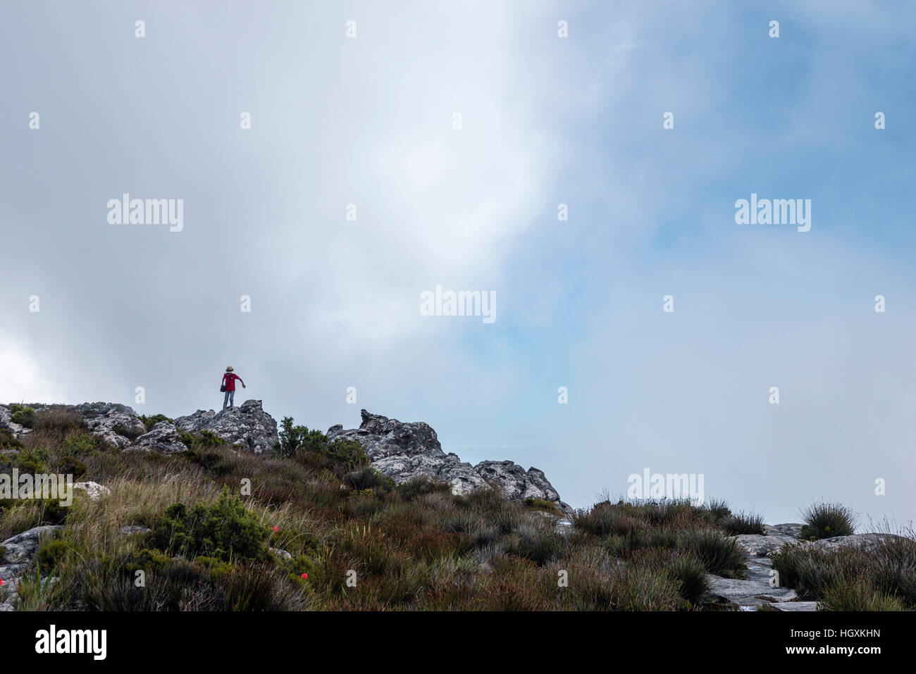 A hiker exploring the summit of Table Mountain. Stock Photo