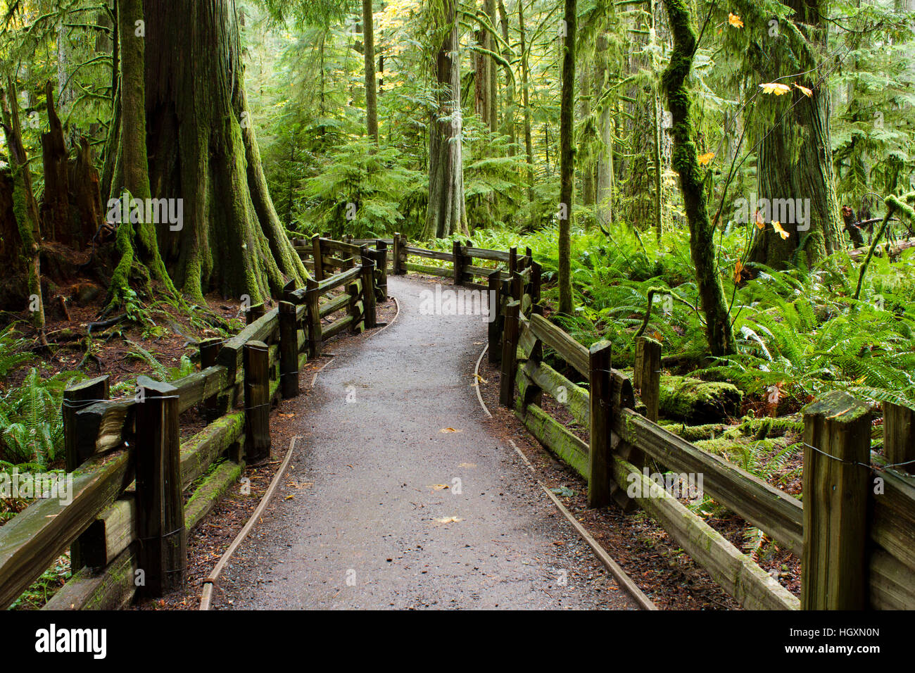 MacMillan Provincial Park is a provincial park on Vancouver Island