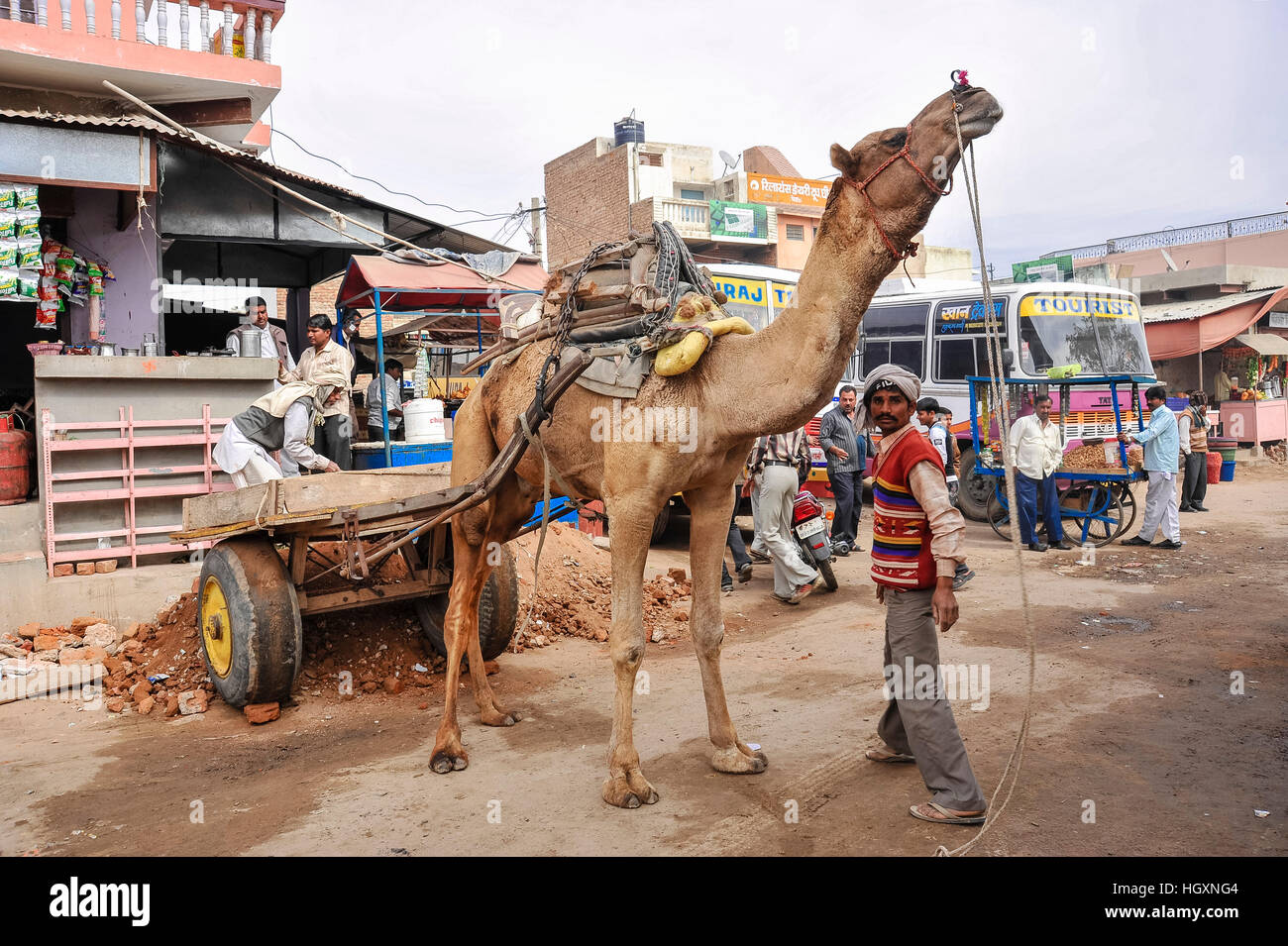 Camel & cart being used to unload builder's rubble in coach station