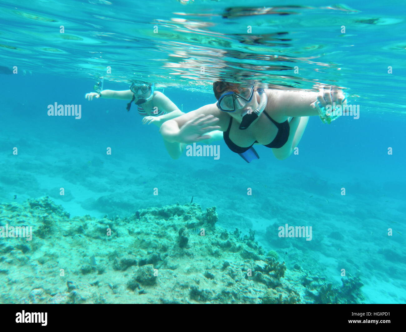 Caribbean snorkeling swimming swim snorkel mask hires stock