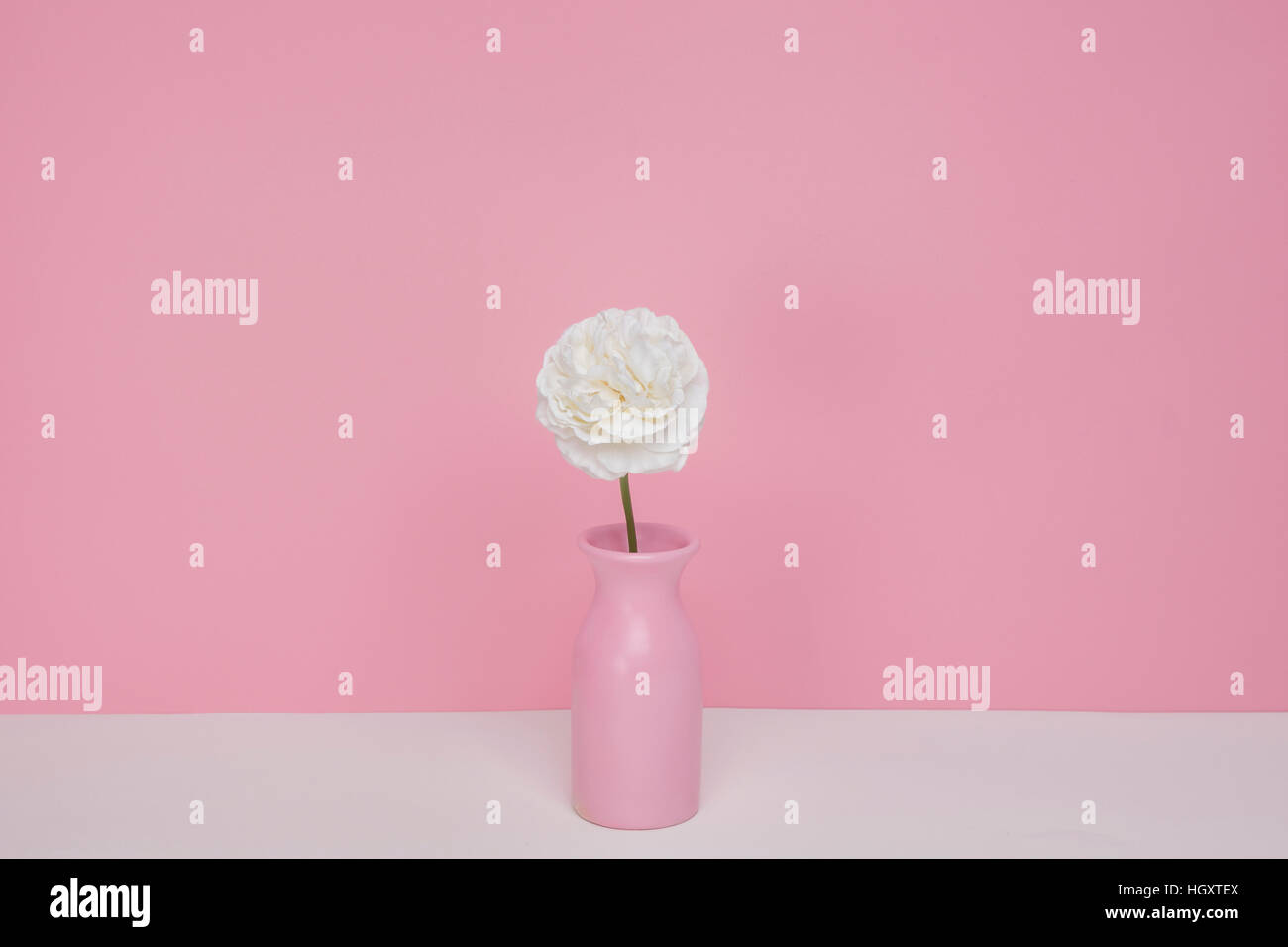 Pastel pink flower vase Stock Photo Alamy