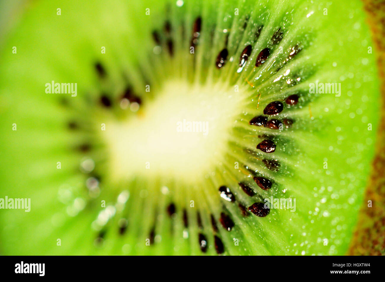 Hairy kiwi fruit hi-res stock photography and images - Alamy