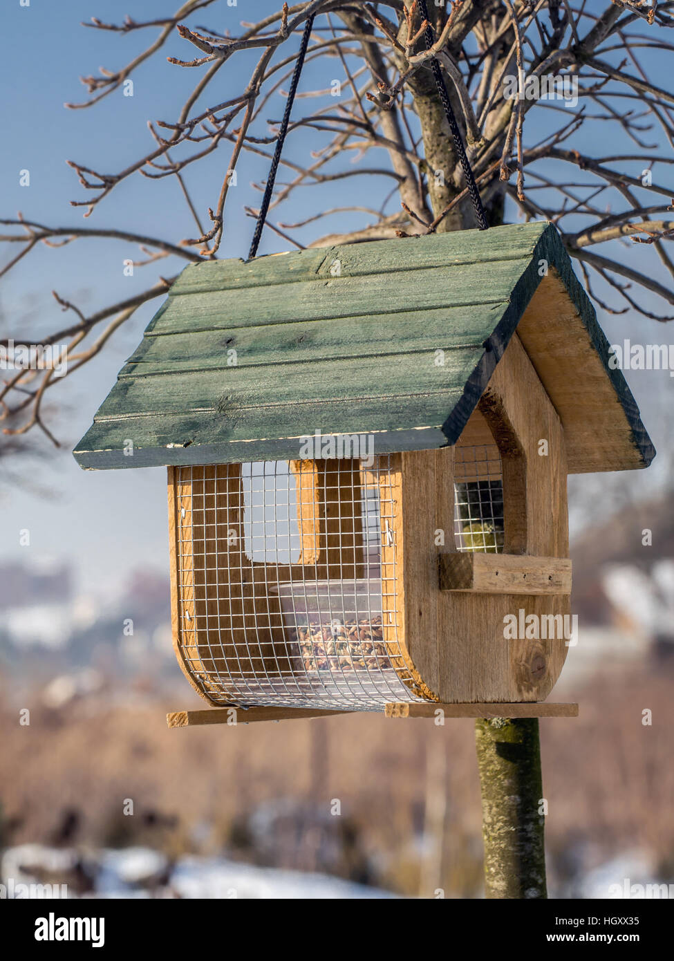 Wooden bird feeder with seed mix affixed to the tree Stock Photo