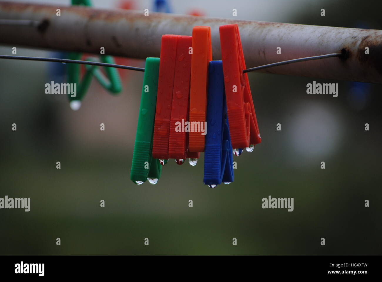 coloured plastic pegs on a washing line Stock Photo