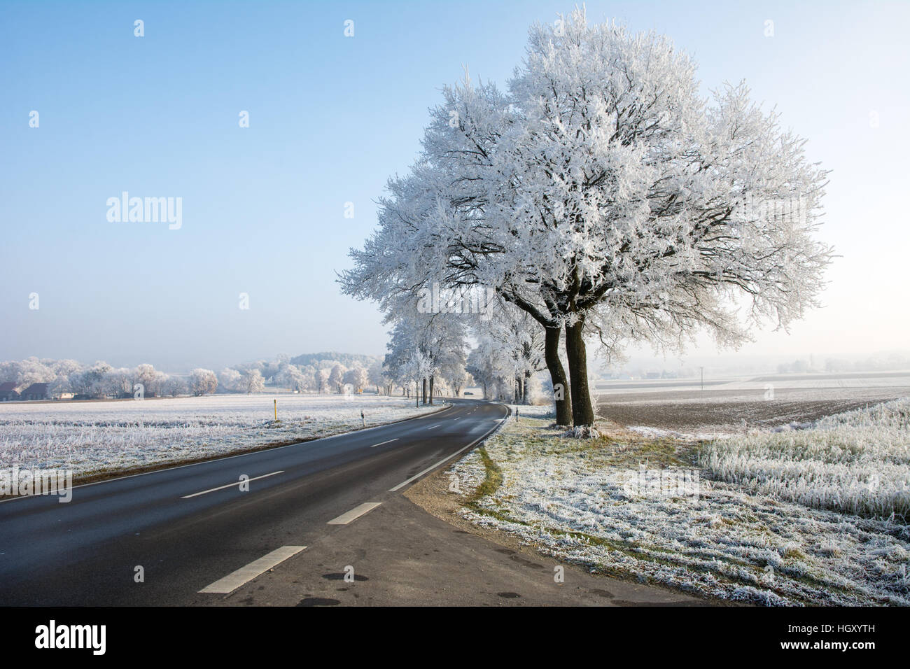 Country road in a winter landscape with frosted trees (Bavaria, Germany ...