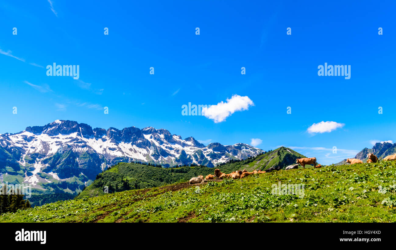 The Swiss Alps in Summer, Verbier, Switzereland Stock Photo