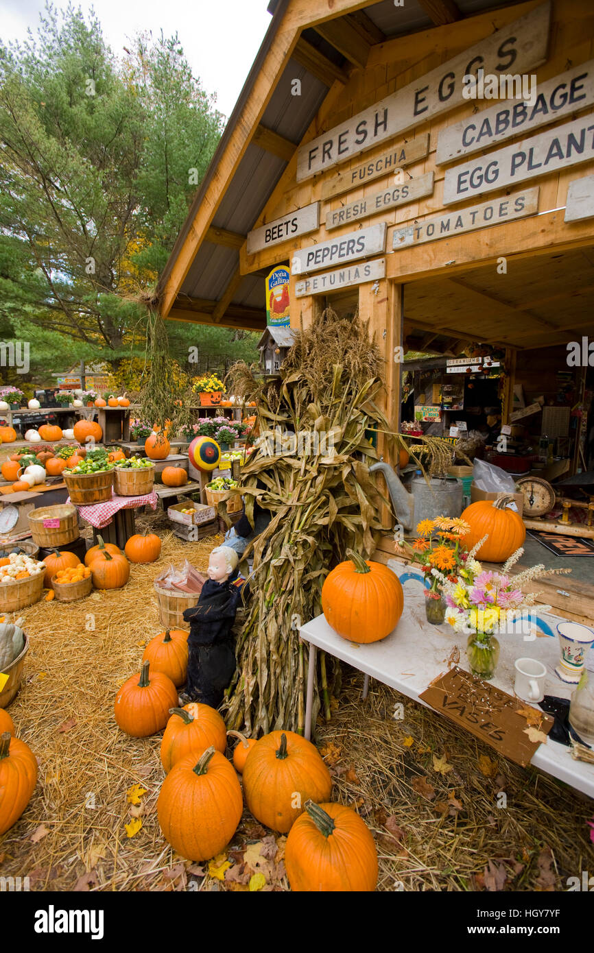 A farm stand in Holderness, New Hampshire Stock Photo Alamy