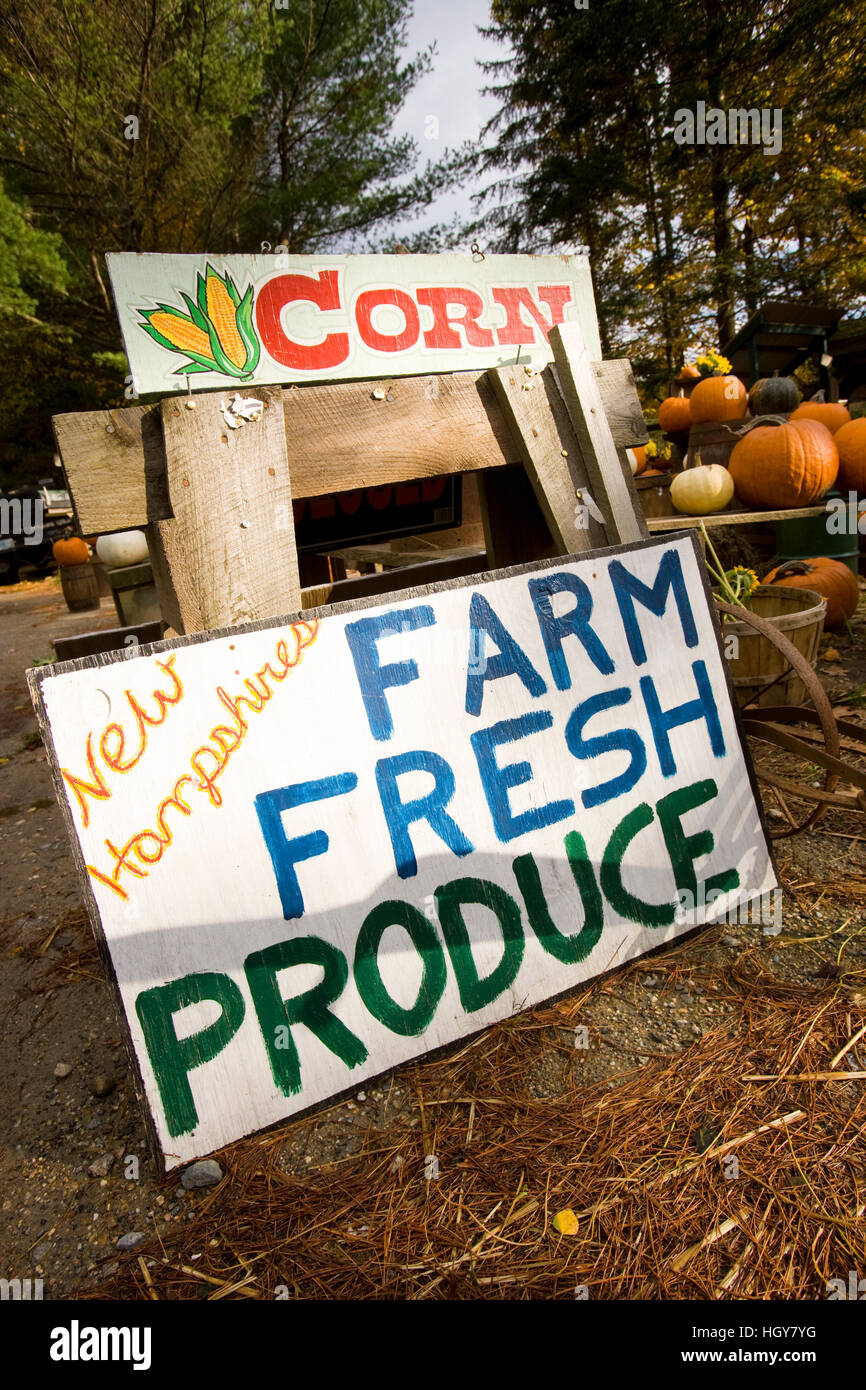 A farm stand in Holderness, New Hampshire Stock Photo Alamy