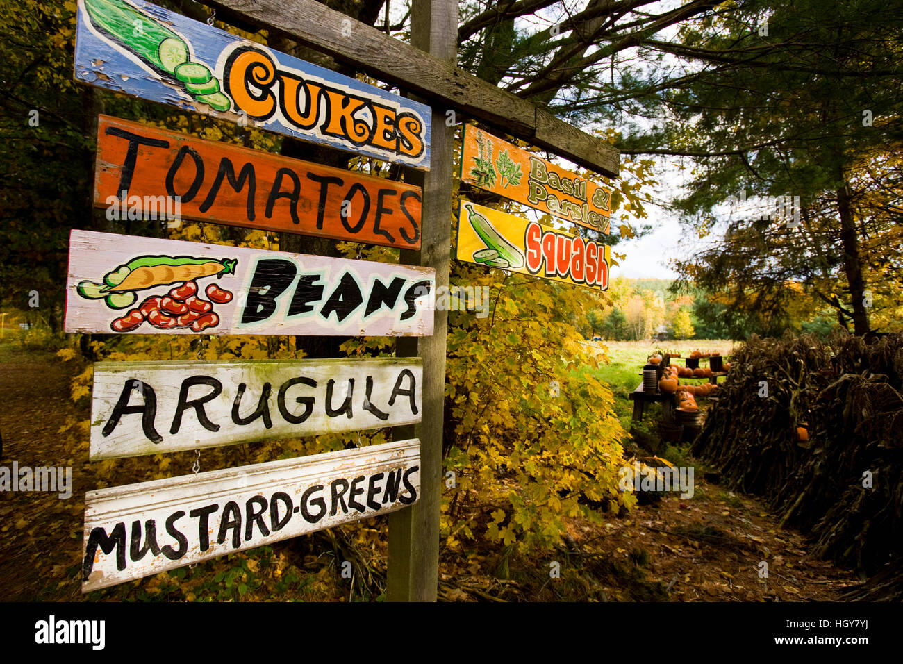 A farm stand in Holderness, New Hampshire Stock Photo Alamy