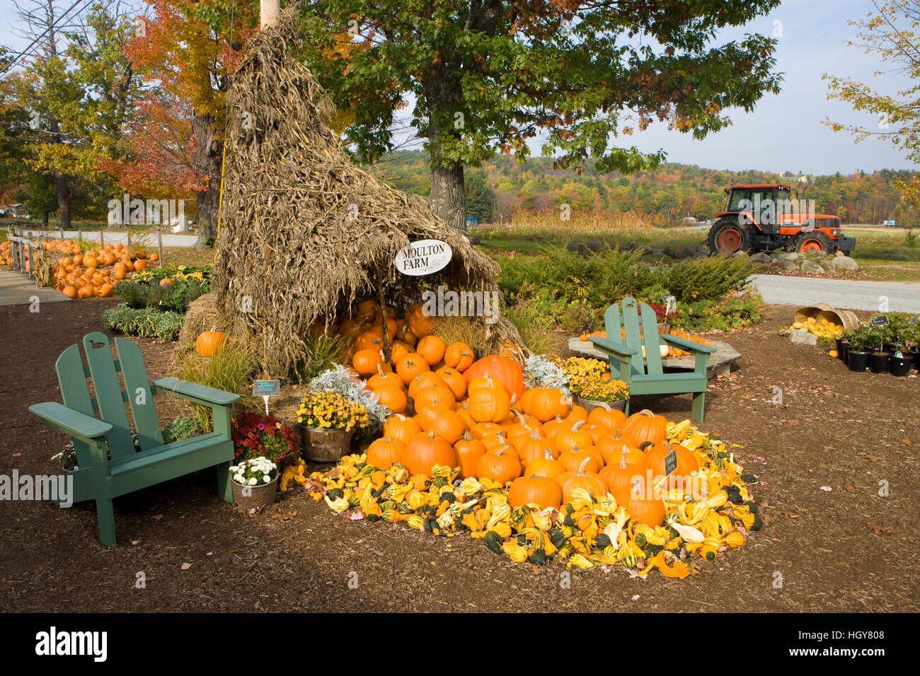 A display of gourds at the Moulton Farm farmstand in Meredith, New Hampshire Stock Photo Alamy