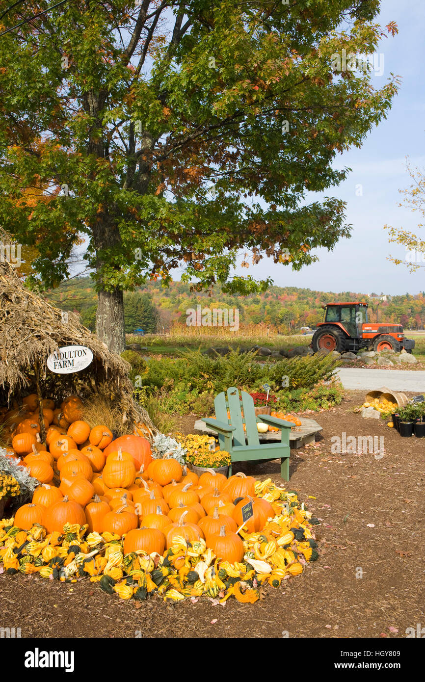 A display of gourds at the Moulton Farm farmstand in Meredith, New Hampshire Stock Photo Alamy
