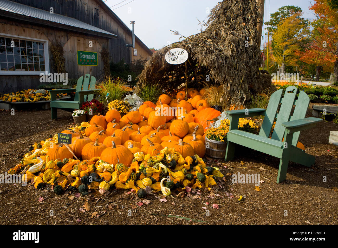 A display of gourds at the Moulton Farm farmstand in Meredith, New Hampshire Stock Photo Alamy