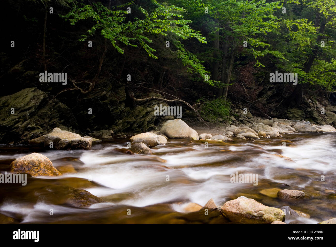 Fast Flowing Rivers In Forests Stock Photos &amp; Fast Flowing ...