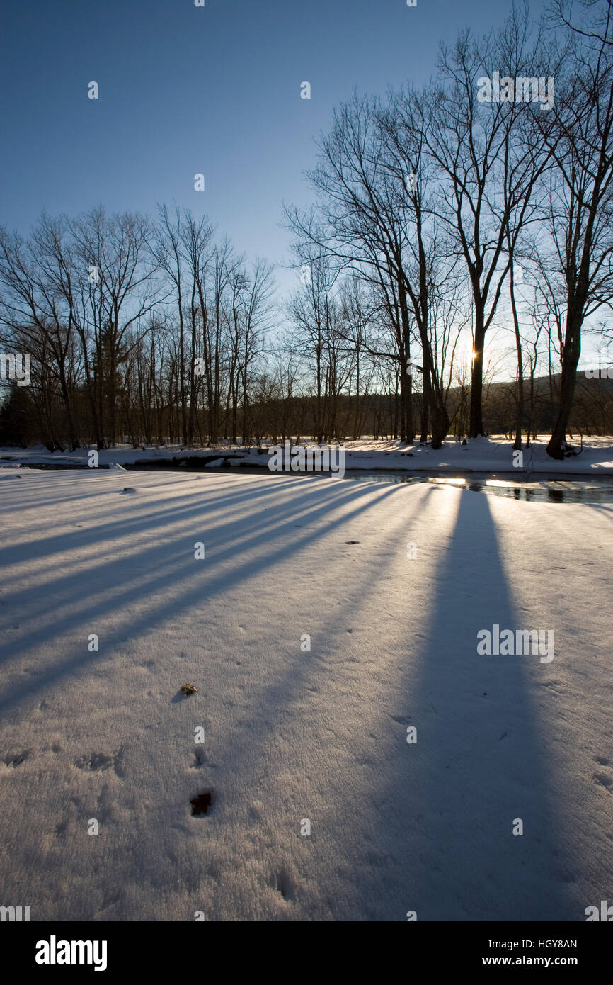 Surry new hampshire hi-res stock photography and images - Alamy