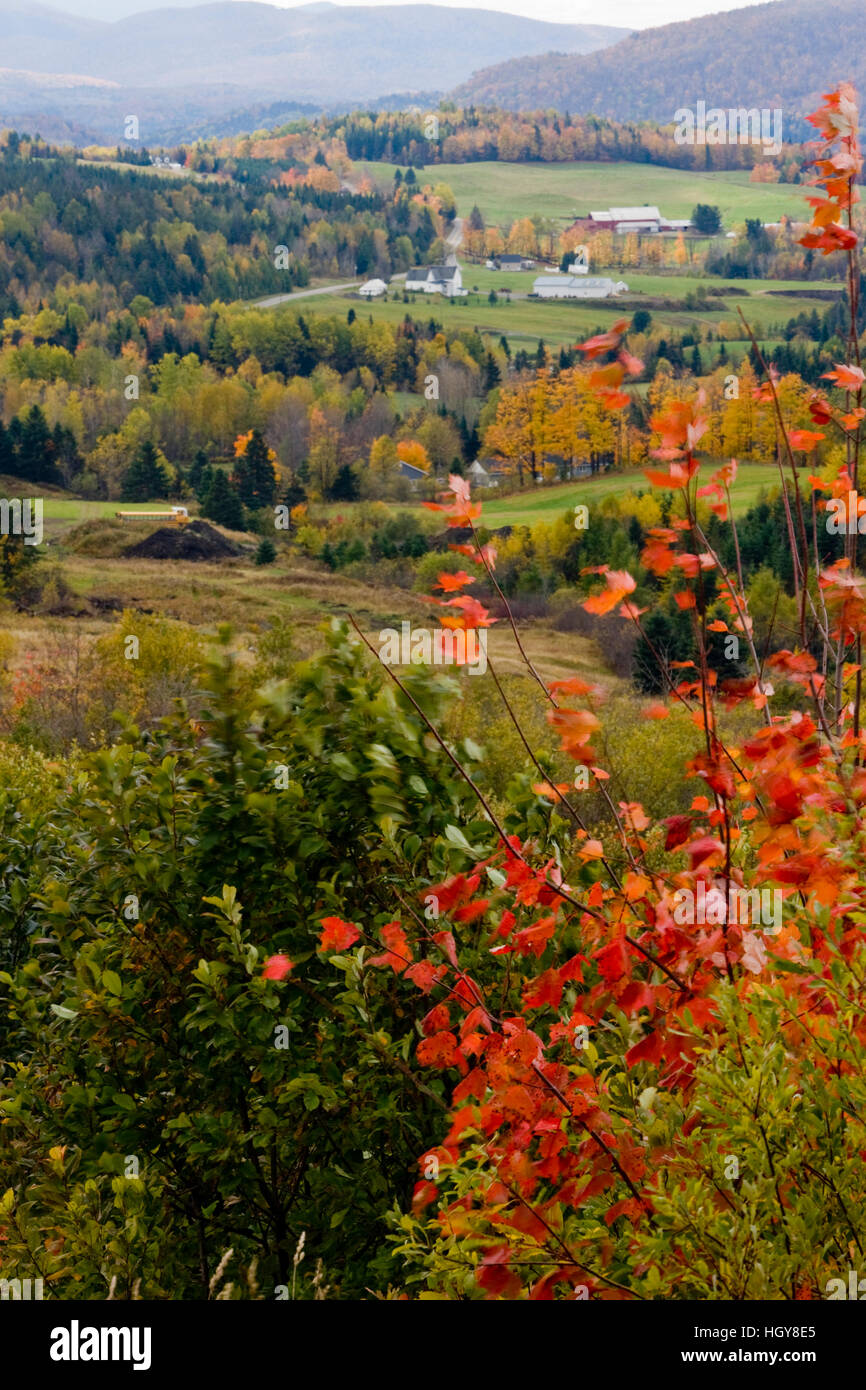 Stewartstown hires stock photography and images Alamy