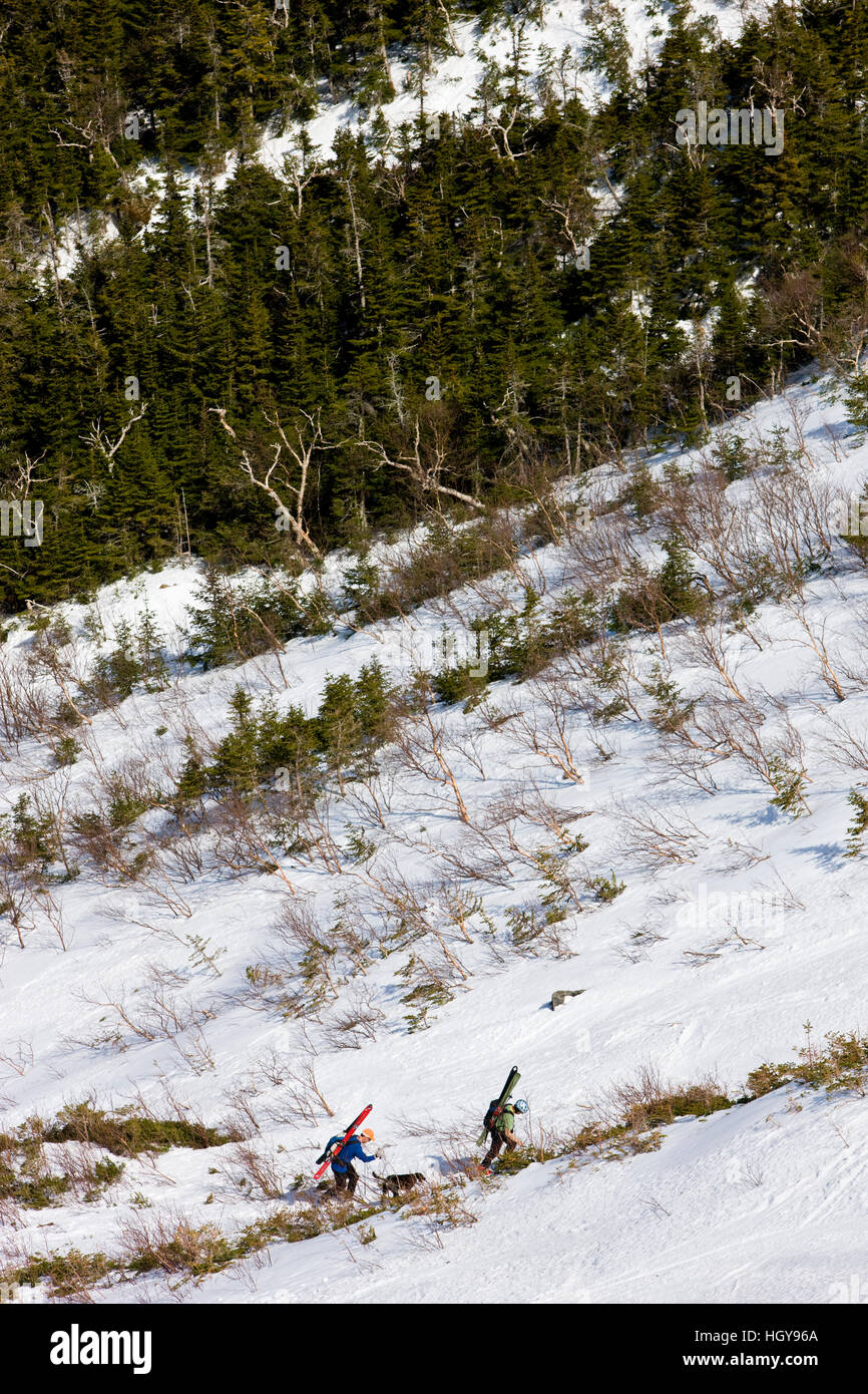 Telemark skiers climb the headwall of King Ravine in New Hampshire's