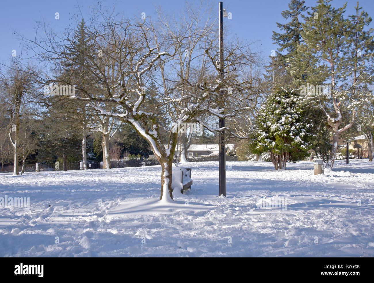 Seasonal changes winter snow in a public park Stock Photo Alamy