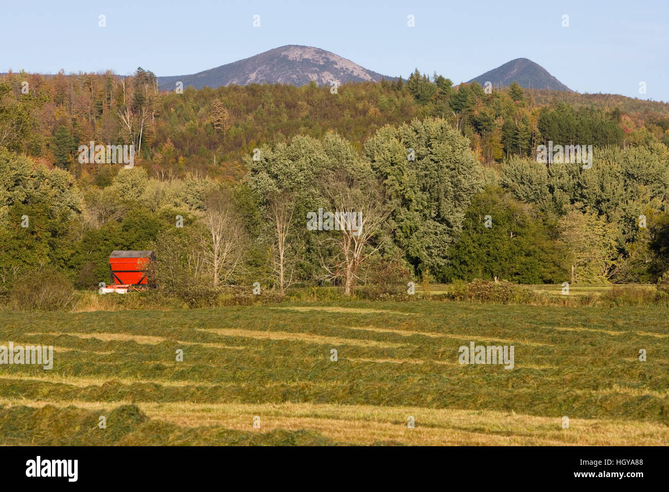 A hay field in Maidstone, Vermont. Stock Photo