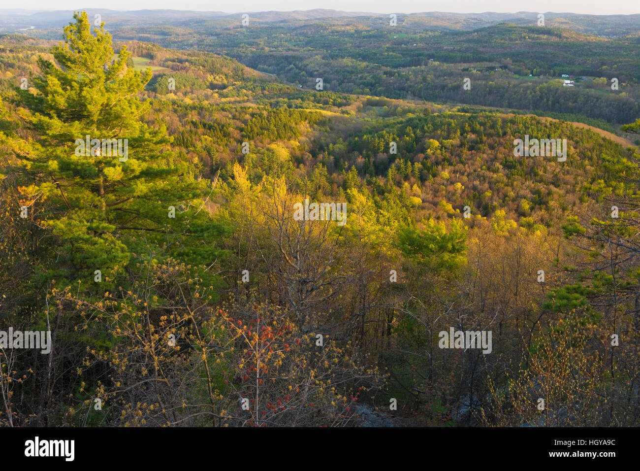 The view south from Black Mountain in Dummerston, Vermont. Stock Photo