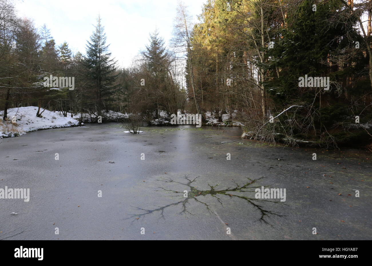 Frozen pond in Templeton Woods in winter Dundee Scotland  January 2017 Stock Photo
