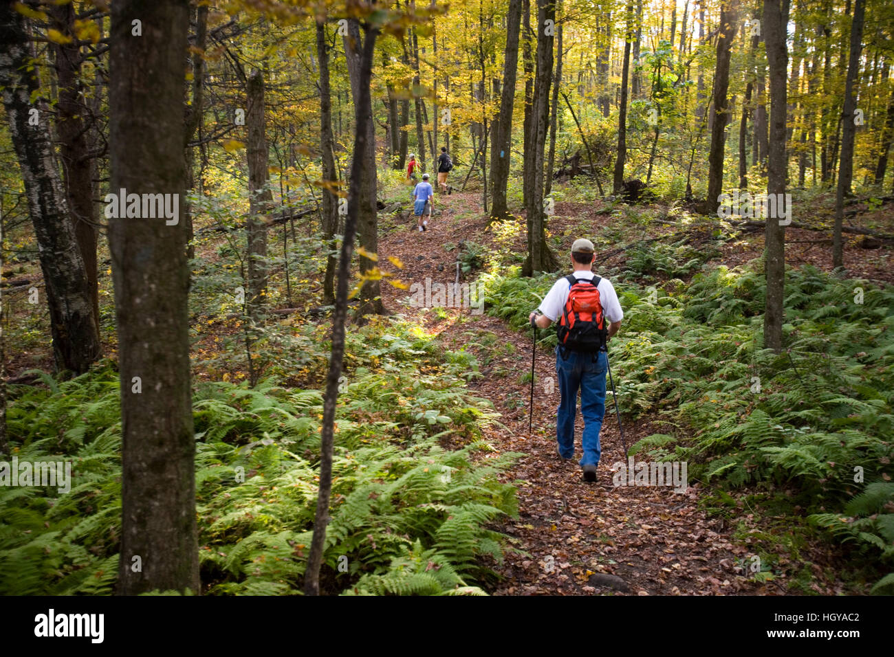 Hiking on the Cross-Rivendell Trail in West Fairlee, Vermont.  Bald Top Mountain. Stock Photo