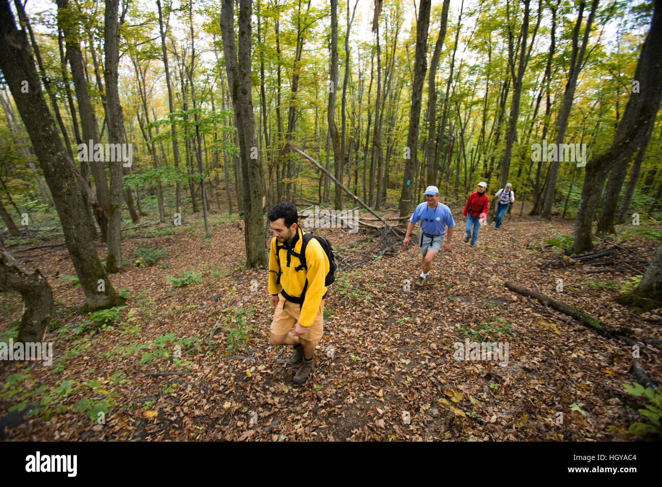 Hiking on the CrossRivendell Trail in West Fairlee, Vermont. Bald Top