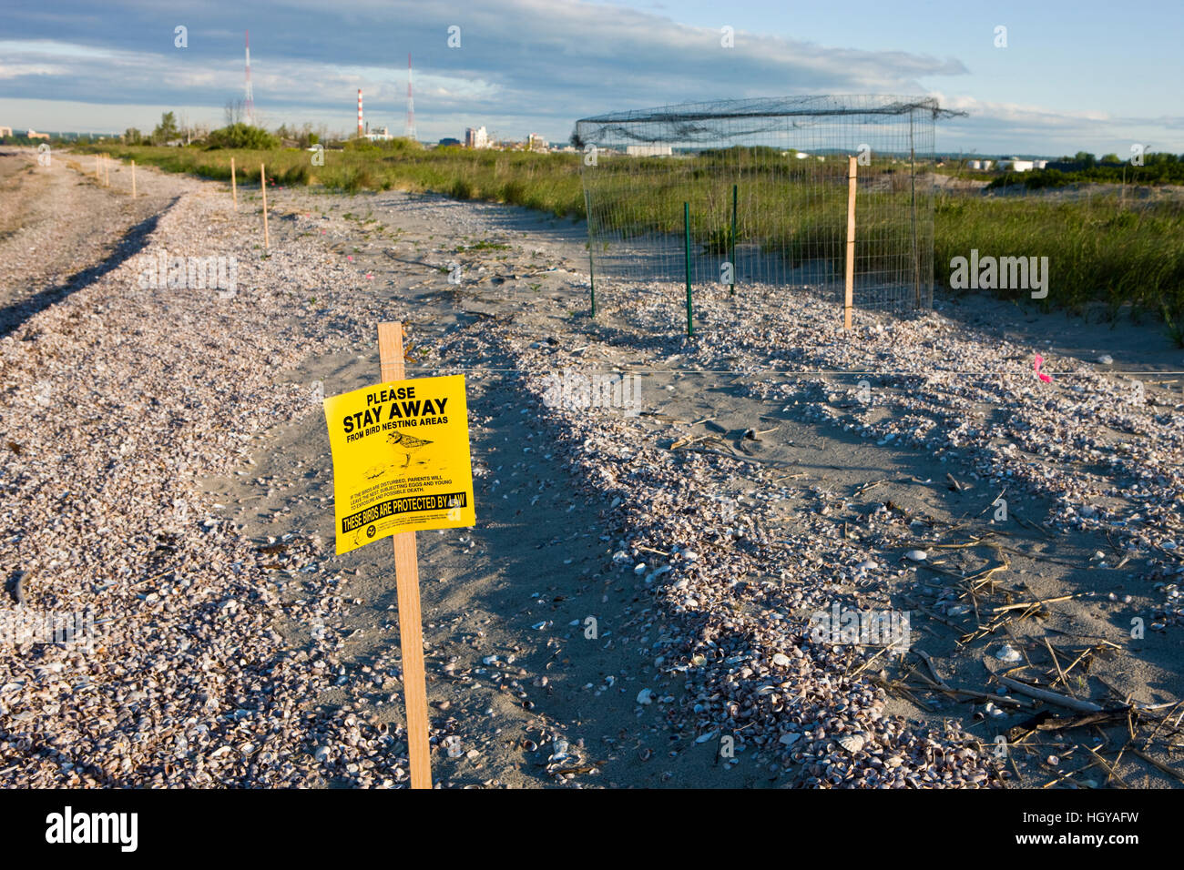 An exclosure around the nest of an endangered piping plover on Long Beach in Stratford, Connecticut. Adjacent to the Great Meadows Unit of McKinney Na Stock Photo