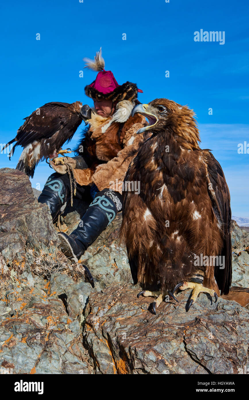Mongolia, Bayan Olgii, kazakh eagle hunter, Eagle hunting, golden eagle
