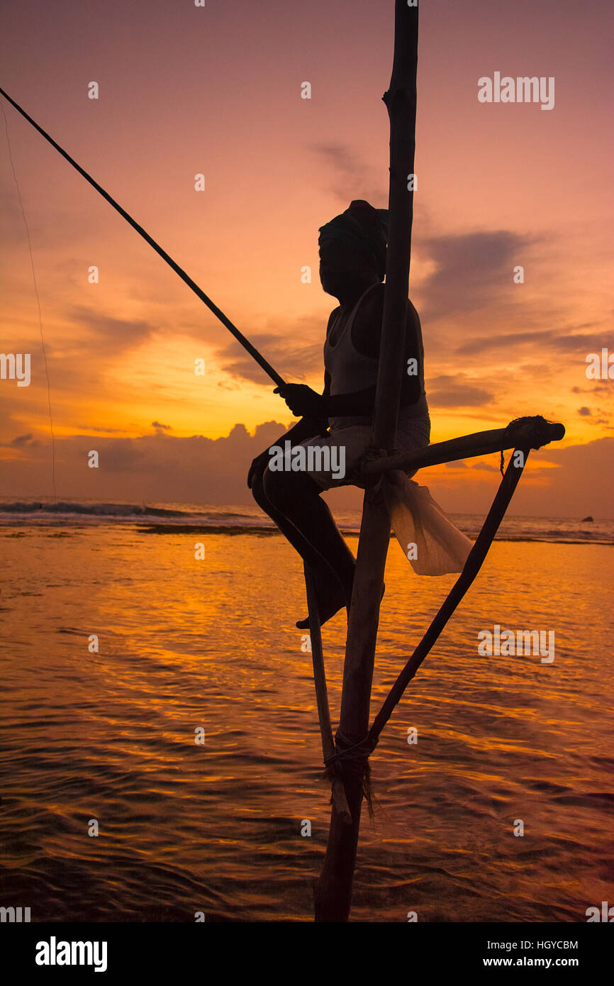 Traditional Sri Lankan stilt fishermen Stock Photo - Alamy