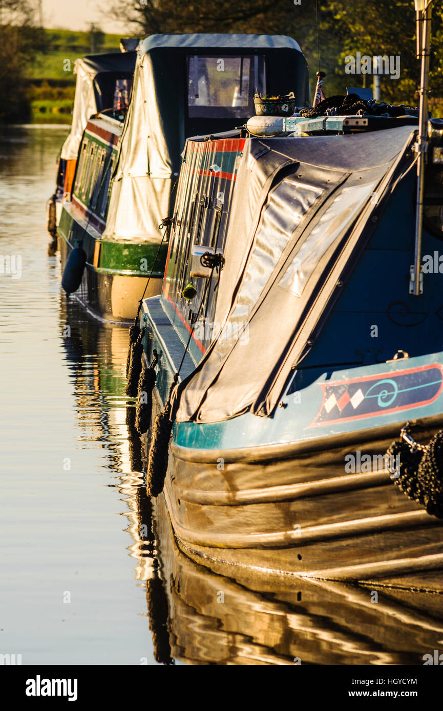 Early morning on the Lancaster Canal at Garstang Lancashire Stock Photo