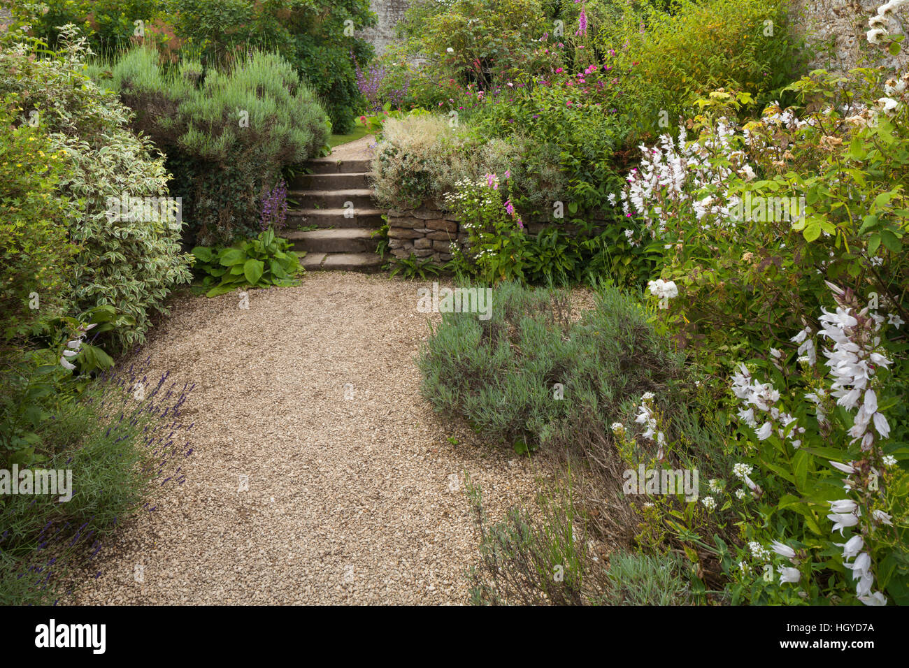 Stone steps amongst colourful summer flowers and shrubs within the walled garden of Rousham House in Oxfordshire, England Stock Photo