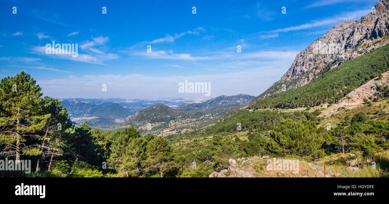 Spain, Andalusia, Province of Cadiz,  Parque Natural Sierra de Grazalema, Mirador Puerto del Boyar, view of the Pinar and Endrinal mountain ranges Stock Photo