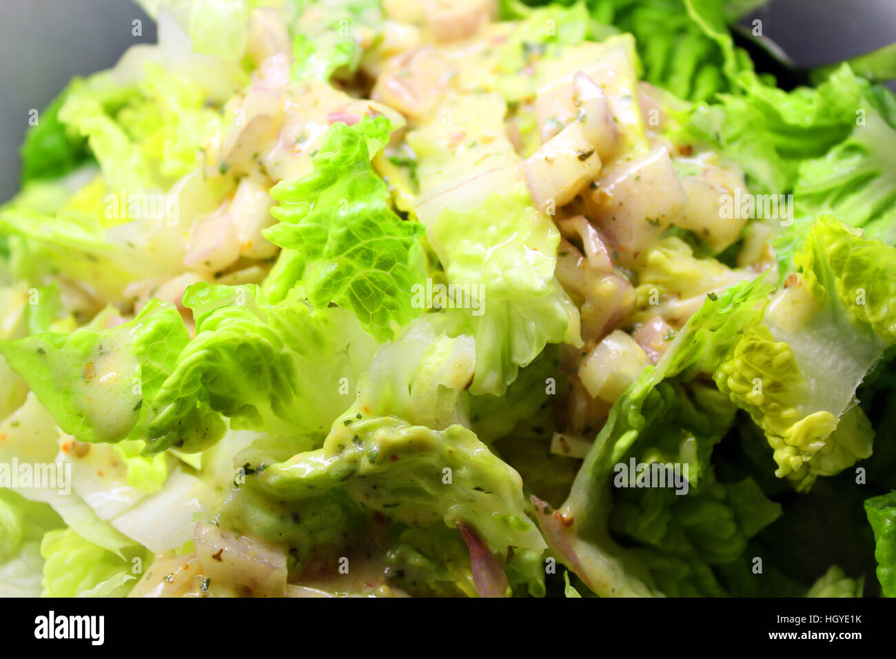 Salad closeup Stock Photo