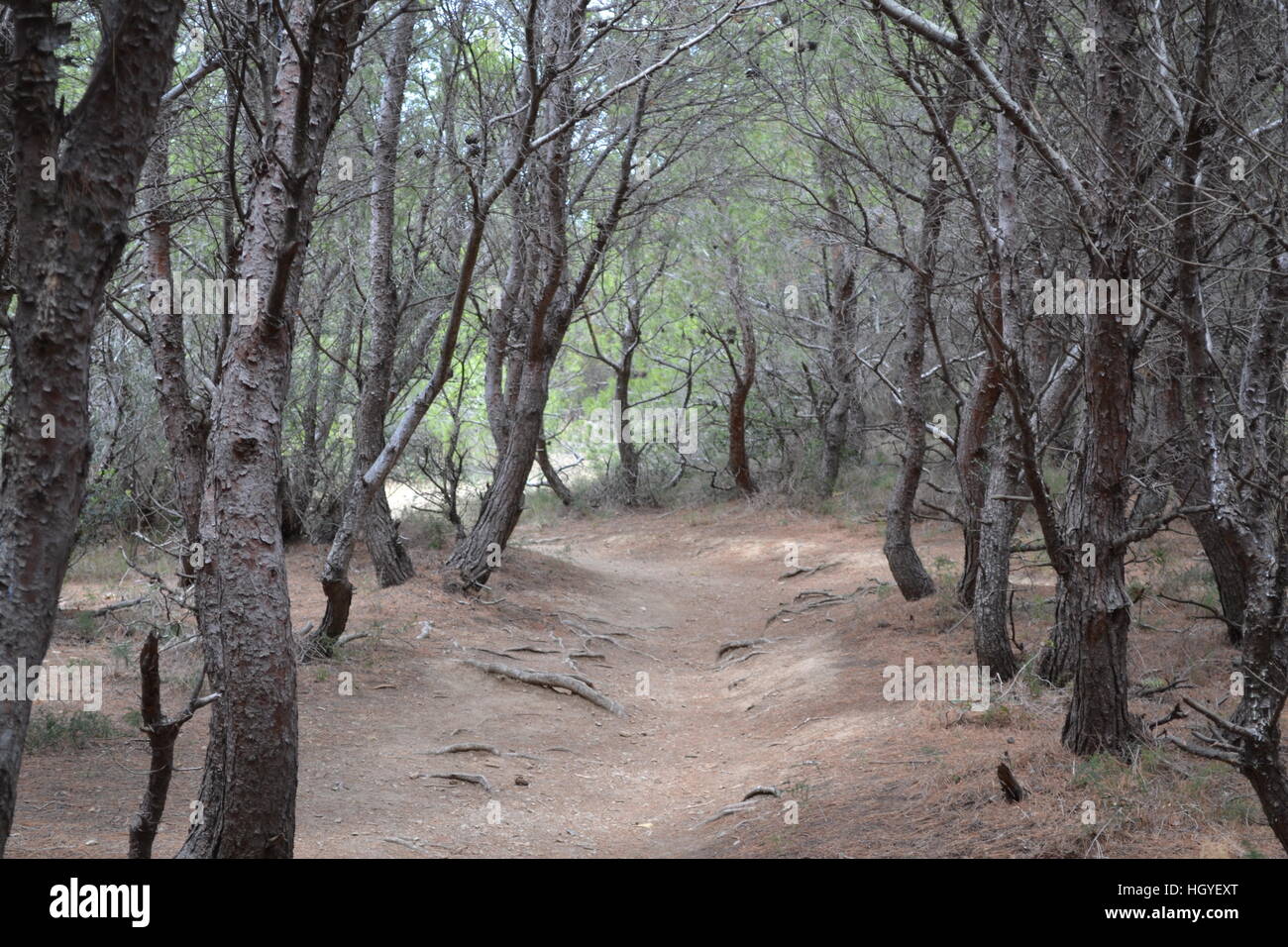 Mediterranean landscape Stock Photo